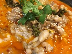 -付掌柜在成都·热炒砂锅集(金禾店)