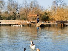 -溱湖国家湿地公园