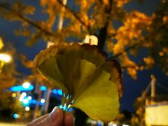 -COSTA COFFEE(上海月星环球港店)