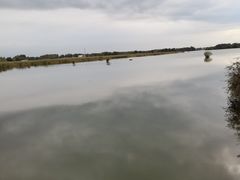 -白渔泡湿地公园