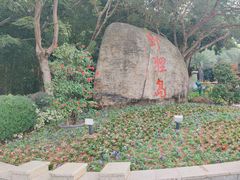 -野狸岛