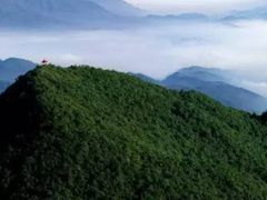 -江西阳明山国家森林公园