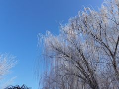 -吴桥杂技大世界