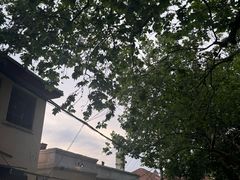 -青岛德国总督楼旧址博物馆