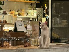 -自由生长植物工作室(深港花卉中心店)