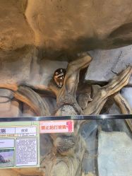 -Zoolung Zoolung动物主题公园(海信广场店)