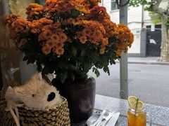 -Apollo·西班牙小酒馆(安福路店)