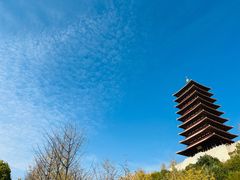 -牛首山文化旅游区