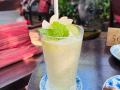 Relaxing-Fern Forest Cafe