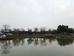 -鹅湖玫瑰文化园