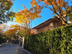 -龙湖星悦荟(颐和店)