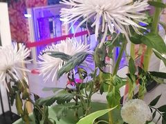 -浅水汤温泉(人民东路店)