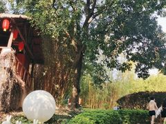 -森波拉奇妙世界