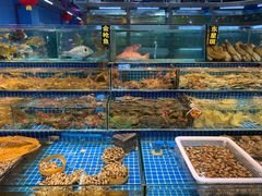 水产区-渔人湾码头海鲜市场负二楼