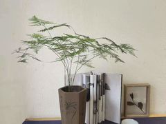 -赏清合茶文化艺术体验馆(百瑞景店)