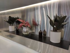 -吉米造型