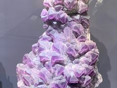 -湖南省地质博物馆