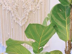 -AHAVA·Fang Baking Studio