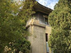 -武汉大学-樱园