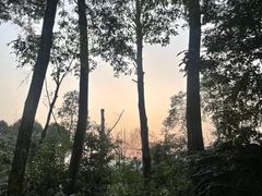 -青城道汤池