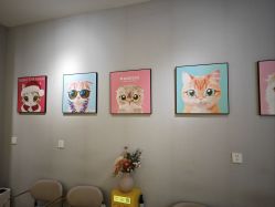 -洗脸猫·洗脸吧