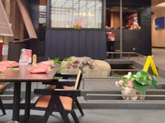 -单家老院·院子里的青岛菜(沙子口店)