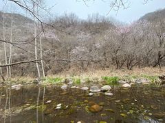 -玉渡山自然风景区