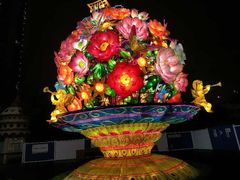 -锦江乐园舞狸花花游园会(夜场专享)