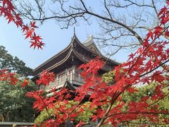 -龙华寺