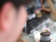 杨梅爆浆黑旋风-尔本咖啡(星光荟店)