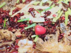 -老板恋上鱼(荣盛广场店)