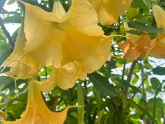 -白鹭湾湿地公园