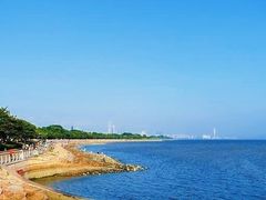 -深圳湾公园(南山区)