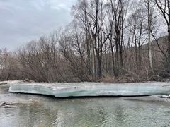 -洮儿河国家湿地公园