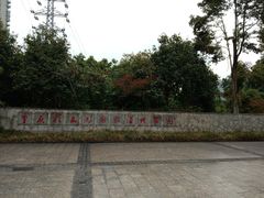 -重庆彩云湖湿地公园