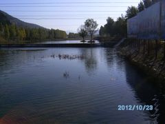 -鲁山国家森林公园