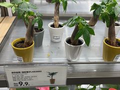 -鹿岛生活(熙地港店)