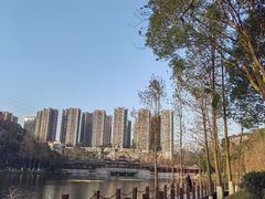 -重庆彩云湖湿地公园