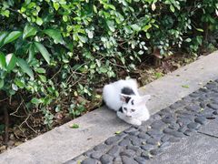 -晓港公园