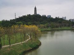 -顺峰山公园