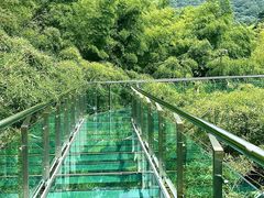 -陶祖圣境风景区