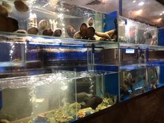 水产区-德米火锅(深圳湾1号旗舰店)