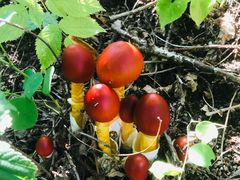 -丹东市五龙山风景区