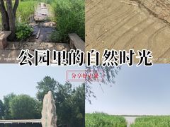 -绿堤公园