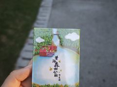 -黄海国家森林公园