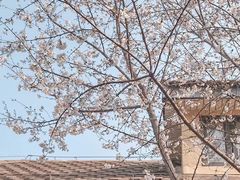 -颐和路民国时期公馆风貌区