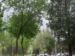 -回龙观体育文化公园