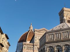 -圣母百花大教堂穹顶