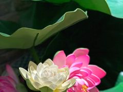 -茅炒屋龙虾·烧烤·湘菜(新河路店)
