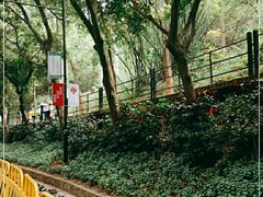 -广州市白云山风景名胜区